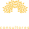 Amani Consultores